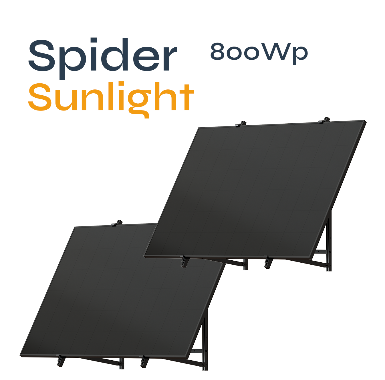 Spider Angled